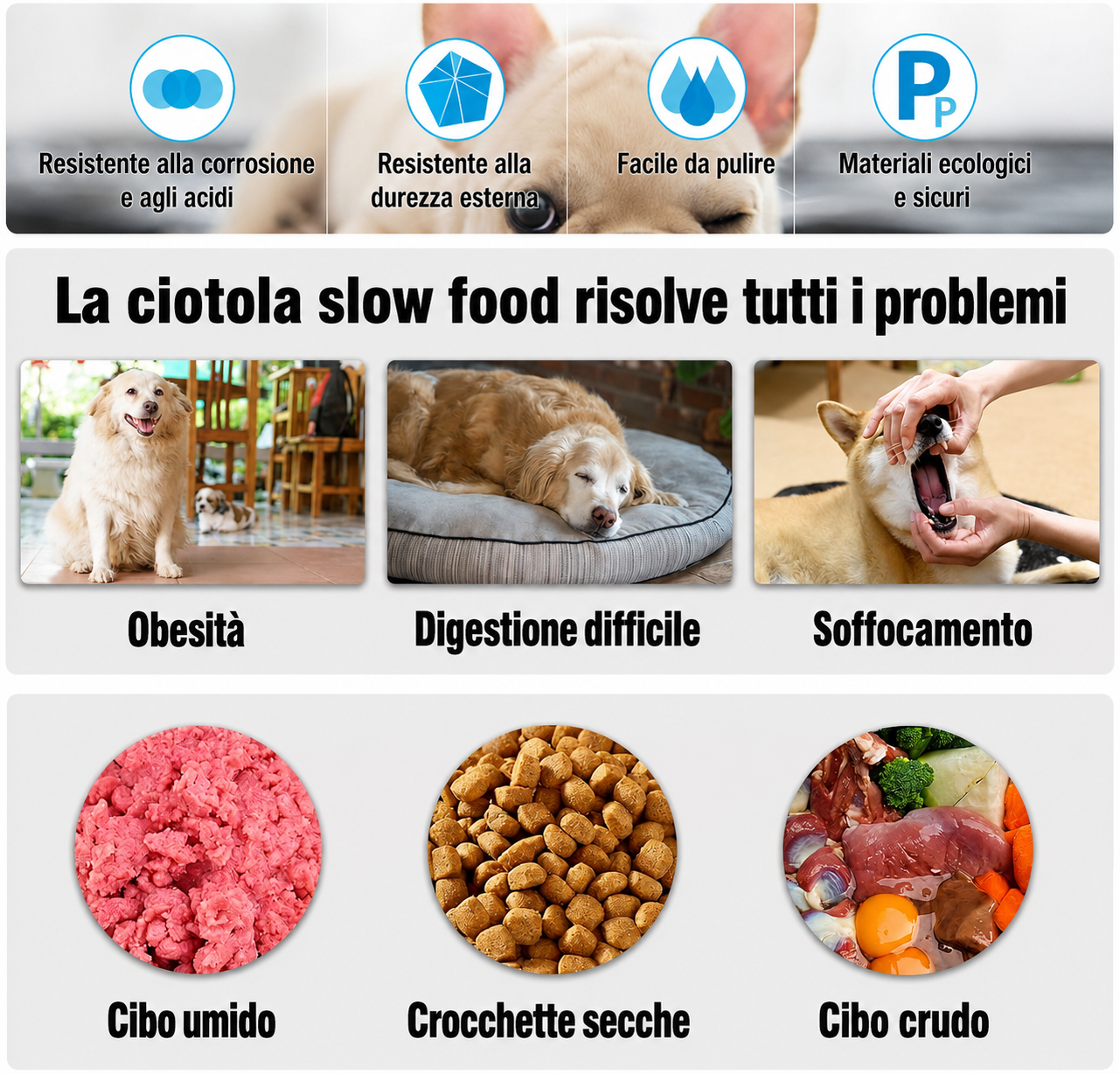 Ciotola Lenta Anti-Rigurgito per Cani