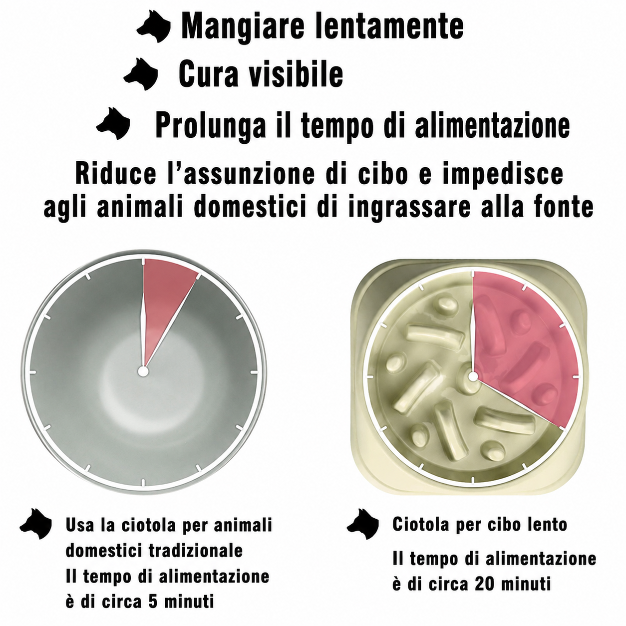 Ciotola Lenta Anti-Rigurgito per Cani