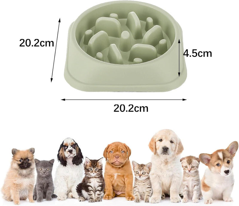 Ciotola Lenta Anti-Rigurgito per Cani